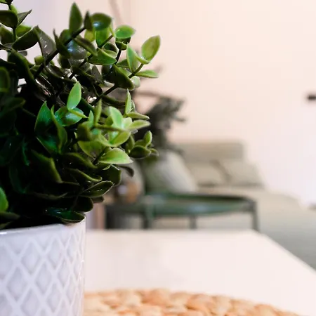 I Paolini By Happyhostorino Turin